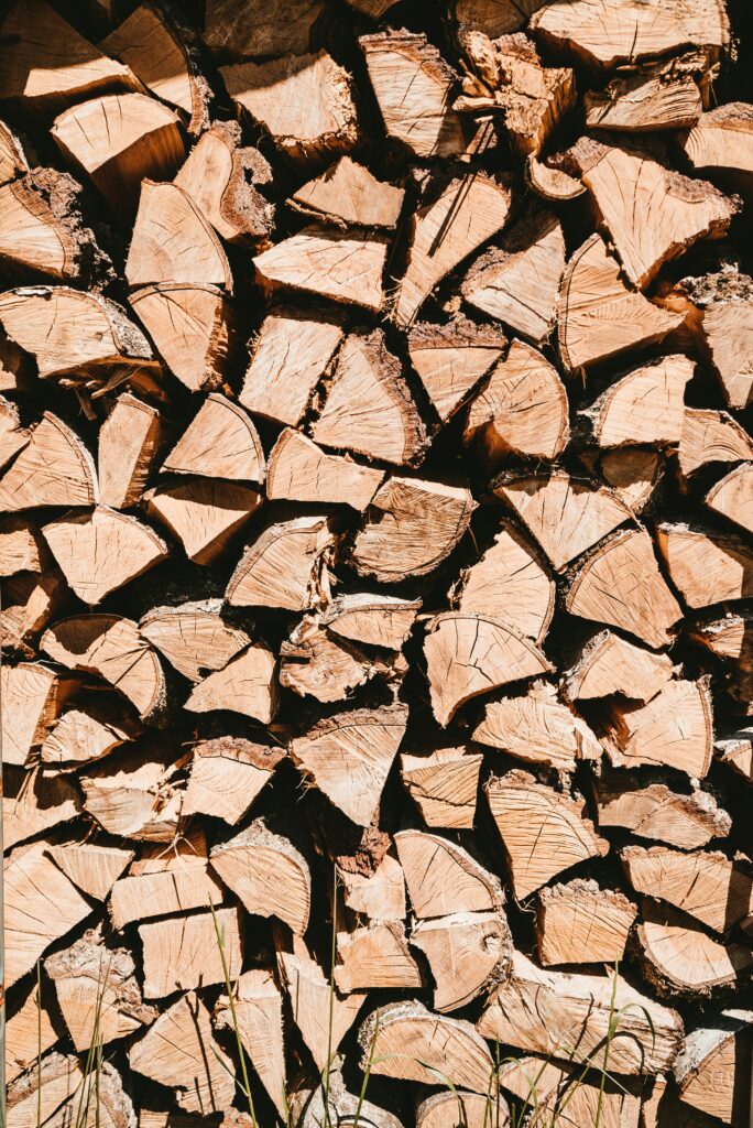 Bûches de bois en plan rapproché