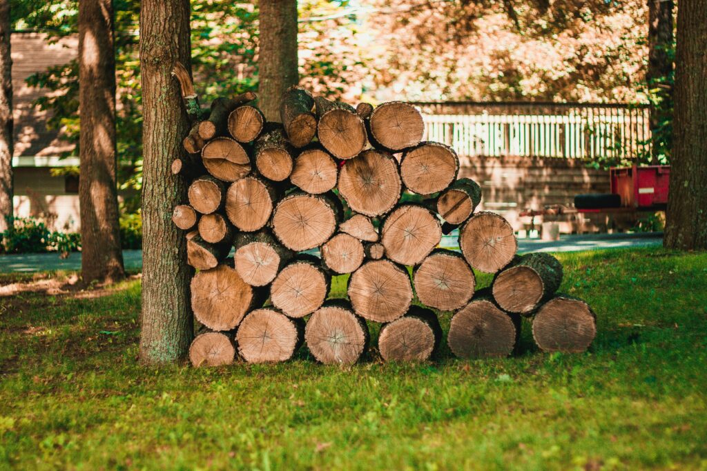Tas de bois de chêne